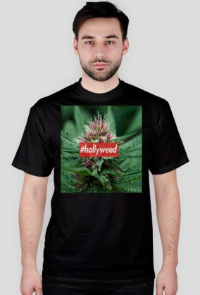 HOLLYWEED BOX LOGO