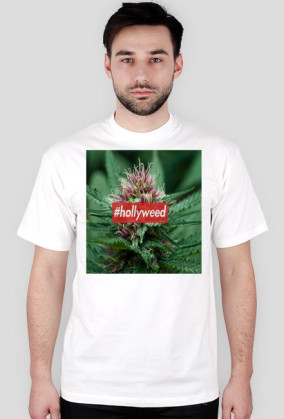 HOLLYWEED BOX LOGO