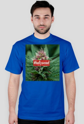 HOLLYWEED BOX LOGO