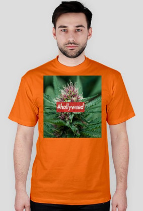 HOLLYWEED BOX LOGO