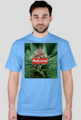 HOLLYWEED BOX LOGO