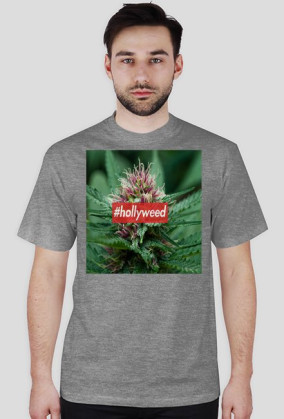 HOLLYWEED BOX LOGO