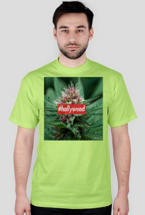 HOLLYWEED BOX LOGO