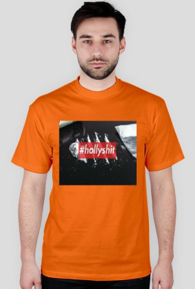 HOLLYSHIT BOX LOGO