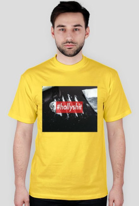 HOLLYSHIT BOX LOGO