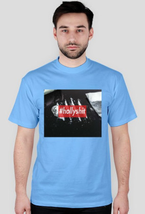 HOLLYSHIT BOX LOGO