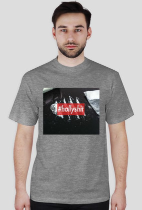 HOLLYSHIT BOX LOGO
