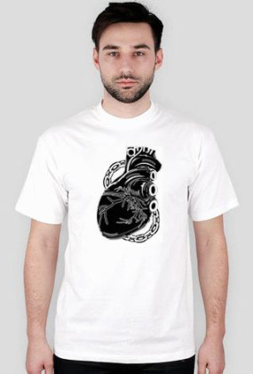 Mechanical Heart