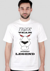 Tiger team - street legend