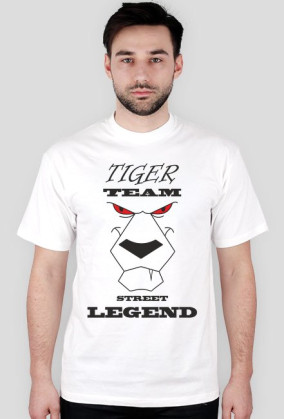 Tiger team - street legend