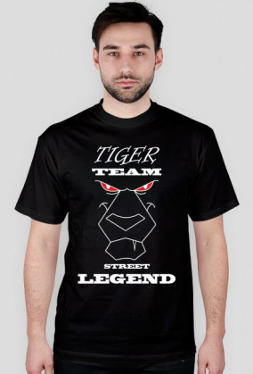 Tiger team - street legend 2