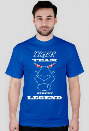 Tiger team - street legend 2