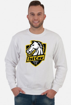 Sweatshirt MEN Logo Kolor