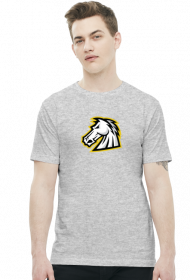 1stCav Głowa Kolorowy