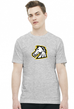 1stCav Głowa Kolorowy
