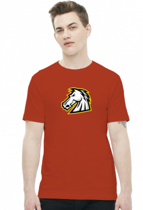 1stCav Głowa Kolorowy