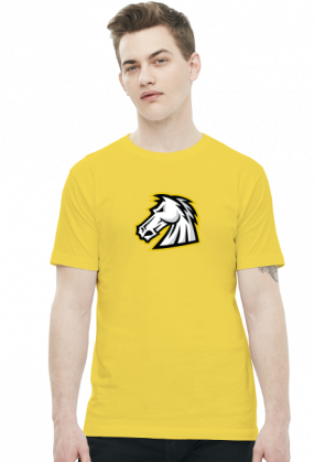 1stCav Głowa Kolorowy