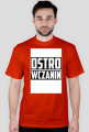 Ostrowczanin wer.3