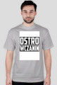 Ostrowczanin wer.3