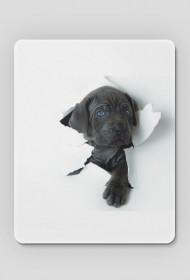 Szary Piesek Podkładka Pod Mysz