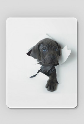 Szary Piesek Podkładka Pod Mysz