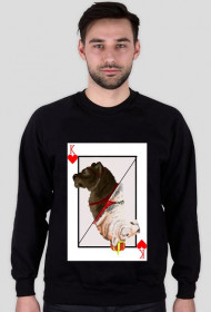 Tiger King bluza (M)