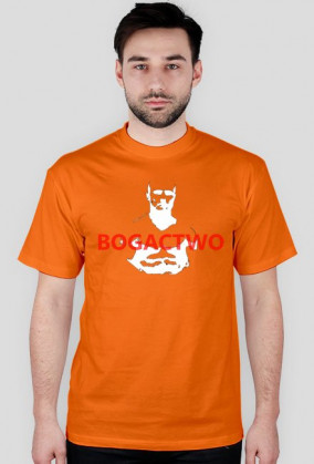 Testoviron Bogactwo t-shirt