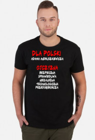 DLA POLSKI A. Andruszkiewicza