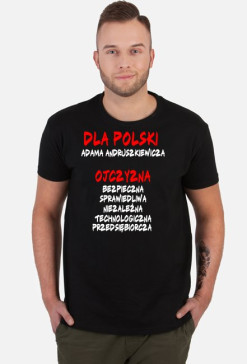 DLA POLSKI A. Andruszkiewicza