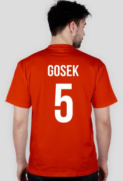 GOSEK
