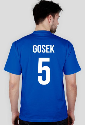 GOSEK