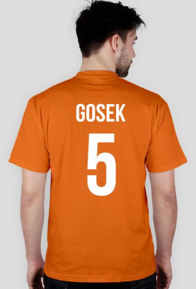 GOSEK