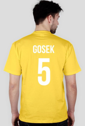 GOSEK