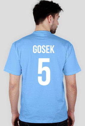 GOSEK