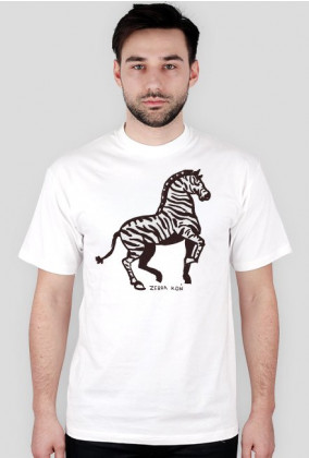 Zebra-koń