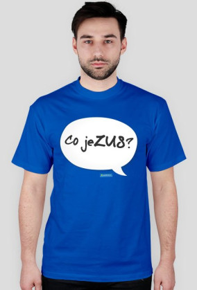 Co jeZUS?