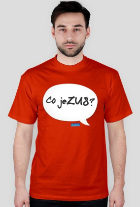 Co jeZUS?