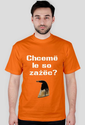 Chcemë le so - róg v2