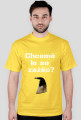 Chcemë le so - róg v2