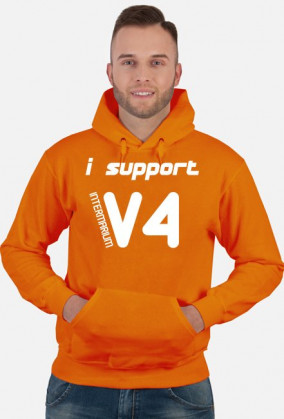 i support V4 - Intermarium (bluza męska kapturowa) jasna grafika