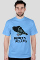 Broken dreams