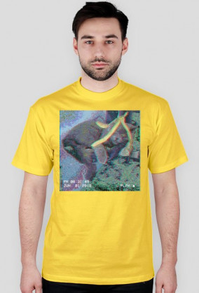 Banana cat shirt 2