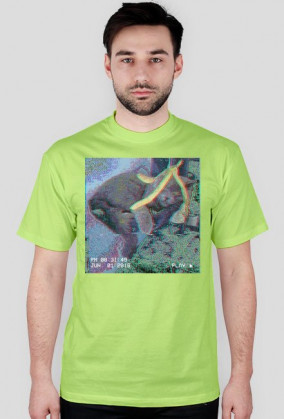 Banana cat shirt 2