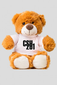 CSU201 TEDDYBEAR
