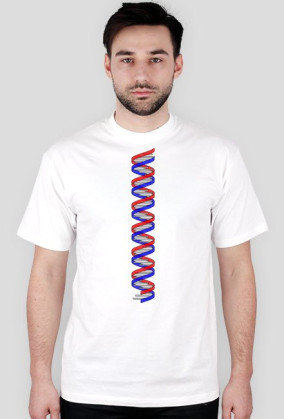 DNA