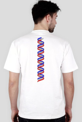 DNA