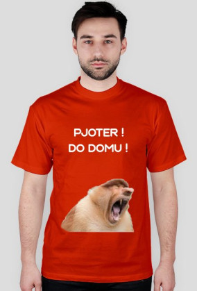 Kozulka PJOTER DO DOMU