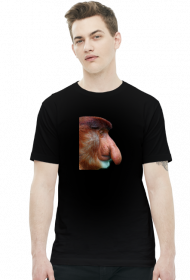 Smutny nosacz