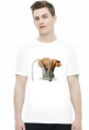 Wściekły nosacz (różne kolory)
