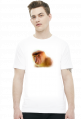Nosacz t-shirt (różne kolory)